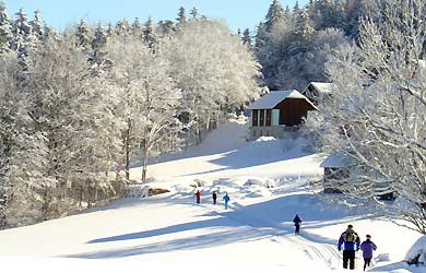 Langlaufen in Bärnkopf
